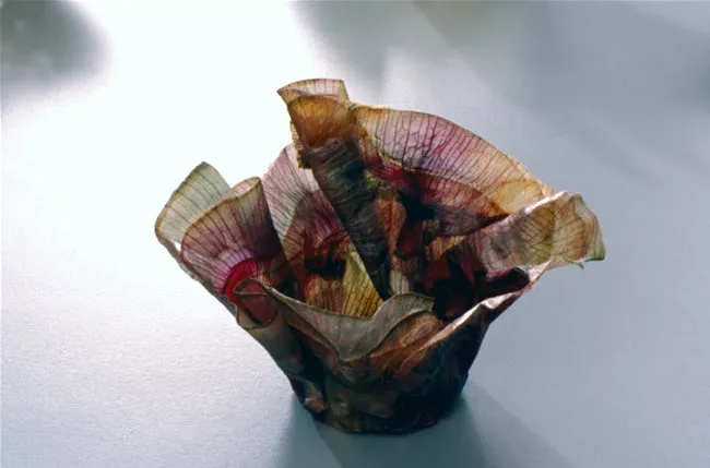 Margaret Dorfman, Vegetable & Fruit Parchment Bowls