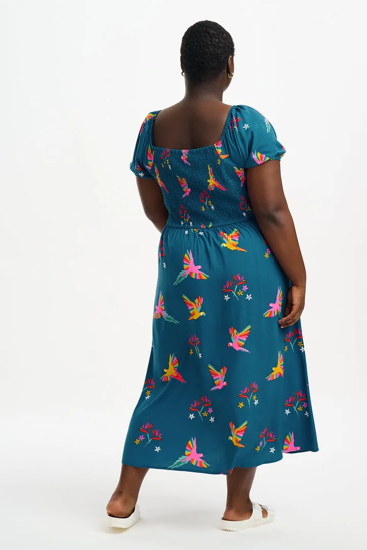 Sugarhill Brighton Jolene Teal Rainbow Parrots Midi Shirred Dress